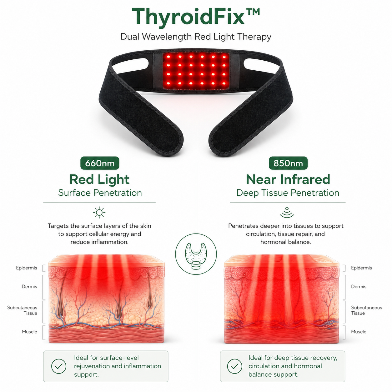 ThyroidFix